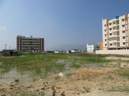 0) 400 Ankanams Land for Sale Near Tirupati - Chennai Higway.JPG
